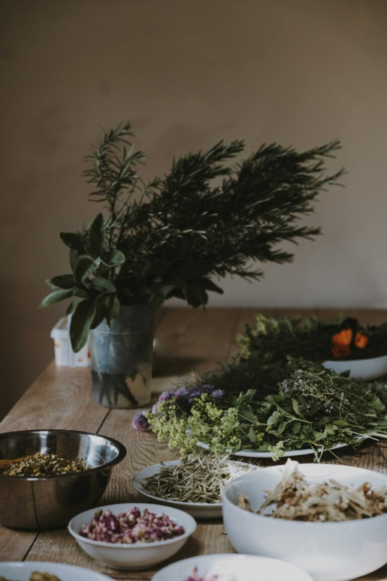 healing herbs for women