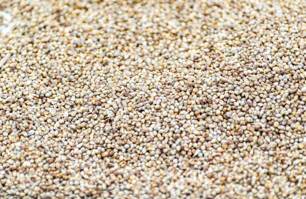 hemp seeds while pregnant